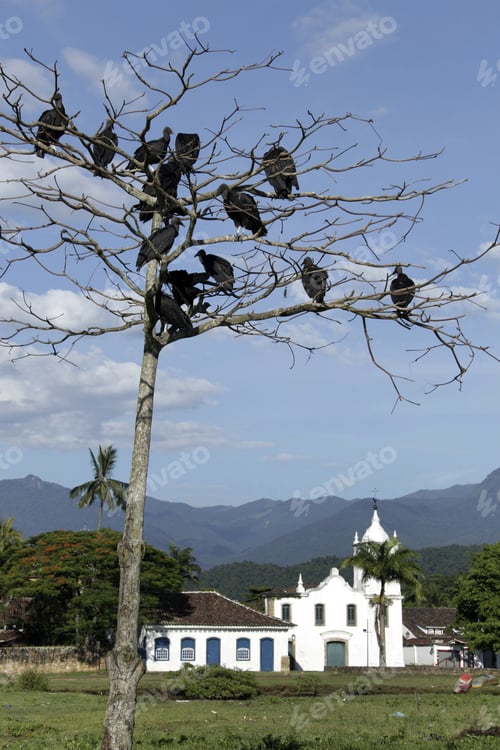 Preview: Paraty, State Of Rio De Janeiro