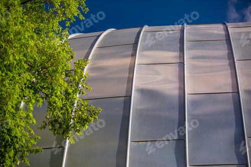 Preview: Detail With Foliage Of The Mormon Tabernacle