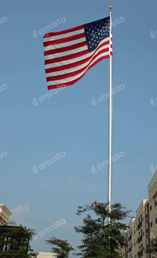 Preview: Flag In City Park