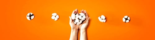 Preview: Female Hands Holding Cotton Flowers - Flat Lay