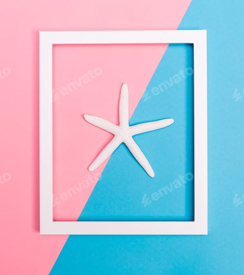 Preview: Starfish And Frame On A Vibrant Duotone Background