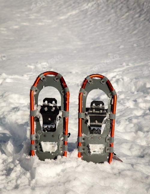 Preview: Snowshoes
