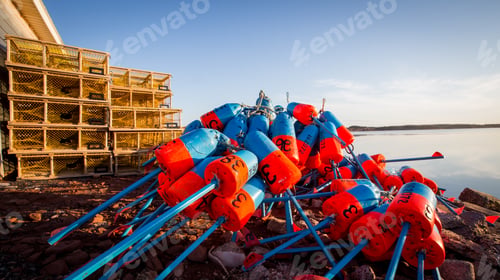 Preview: Lobster Fishing Buoys