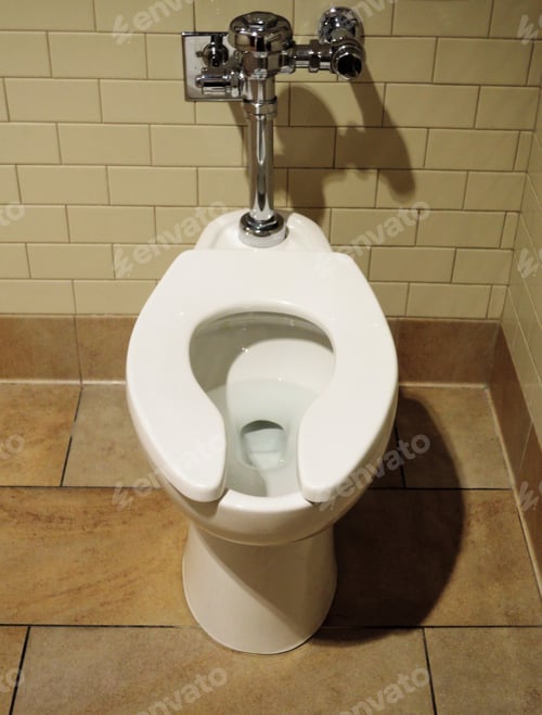 Preview: Porcelain Toilet Bowl