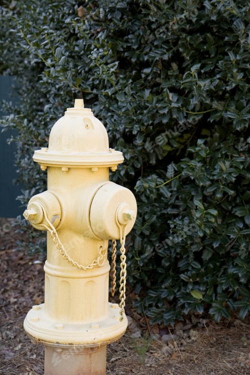 Preview: A Bright Yellow But Dirty Fire Hydrant