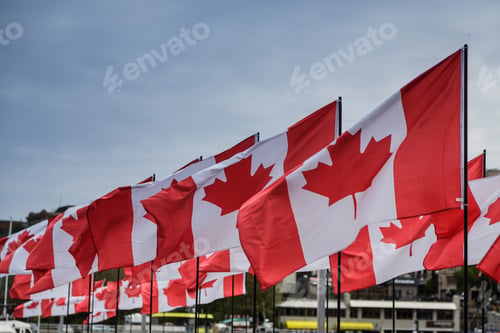 Preview: Rows Of Canadian Flags In Victoria