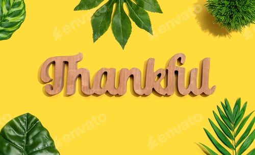 Preview: Thankful Wooden Text With Green Tropical Leaves