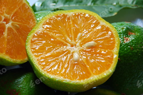 Preview: Citrus