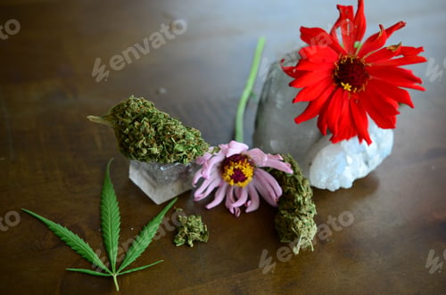 Preview: Lovely Cannabis Crystals And Flowers Aesthetic, Wood Tabletop Macro Photography. Healing Medical