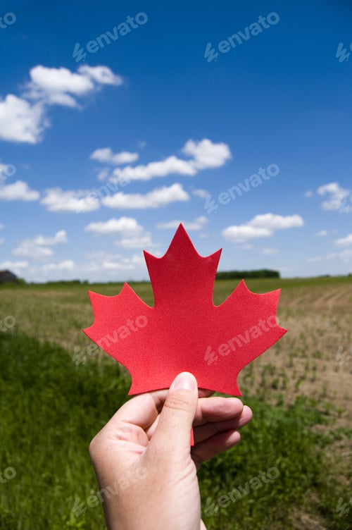 Preview: A Brightly Colored Leaf Is Held Up To The Camera, A Vast Field Behind.