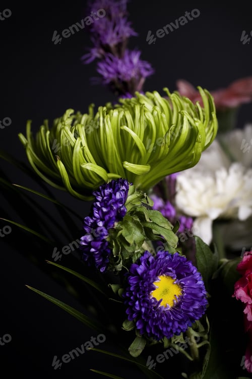 Preview: Some Blue Flowers