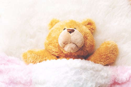 Preview: Teddy Bear Sleeping Under The Blankets