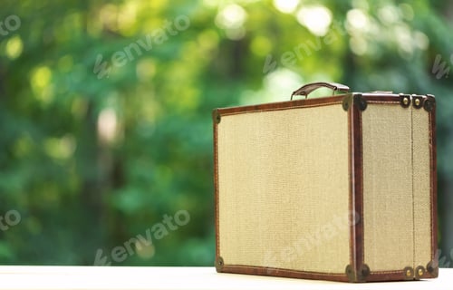 Preview: A Piece Of Luggage On A Shiny Green Forest Background