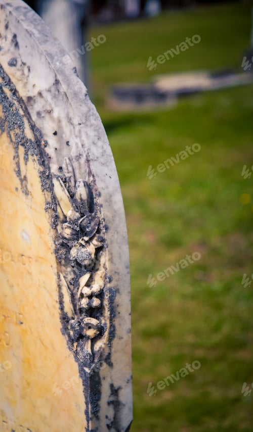 Preview: Head Stone In A Cemetery In Queenstown