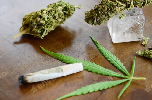 Preview: Bright, Alternative Medical Marijuana. Cbd Healing, Pro Legalization And Pro Marijuana. Macro