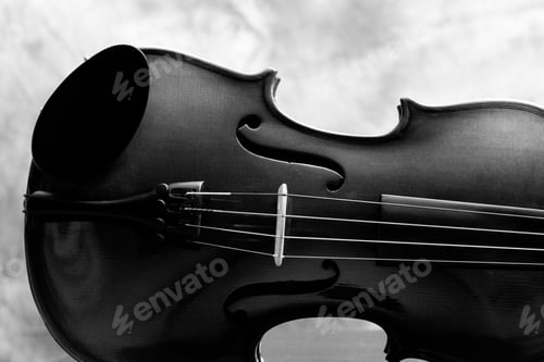 Preview: A Black Violin With A Chin Rest, Four Strings And A Bridge.