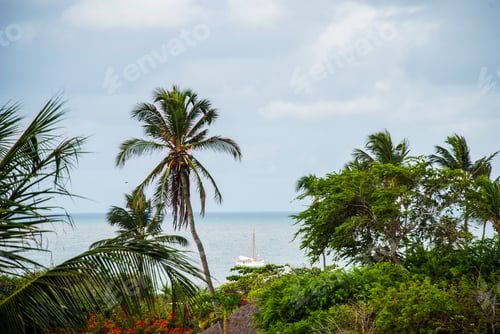 Preview: Jericoacoara Is A Virgin Beach Hidden Behind The Dunes Of The West Coast Of Jijoca De Jericoacoara