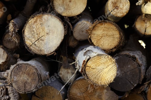 Preview: Firewood