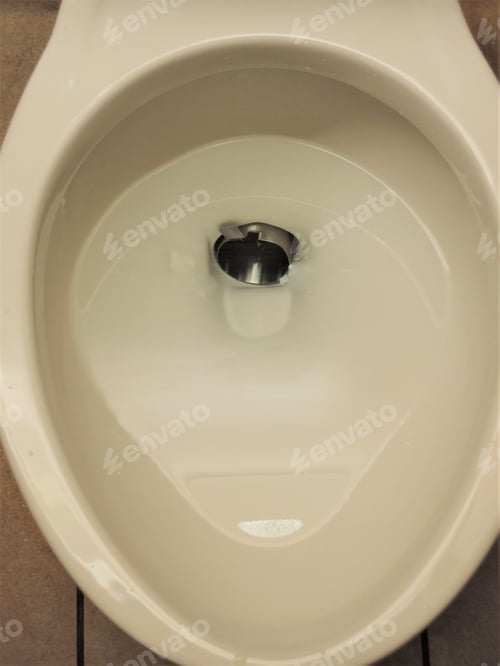 Preview: Toilet Bowl With Filter