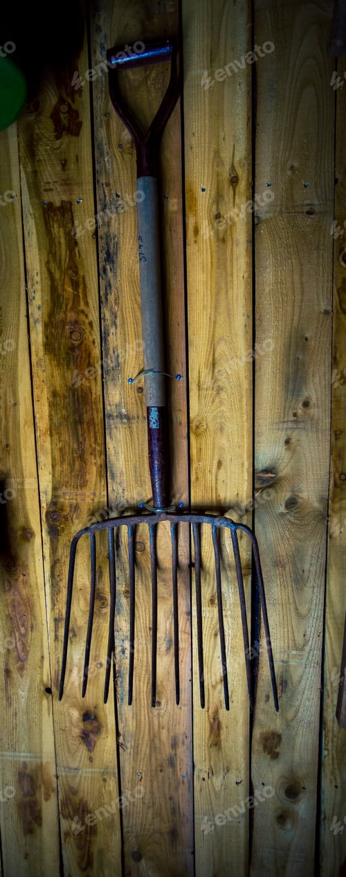 Preview: Potato Fork