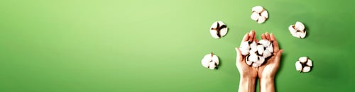 Preview: Female Hands Holding Cotton Flowers - Flat Lay