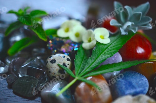 Preview: Adorable Miniature Herb Bundles With A Variety Of Colorful Crystals. Macro Photography Of An