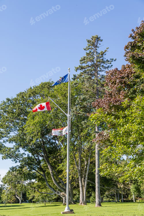 Preview: Flags In Canada Against Green Trees
