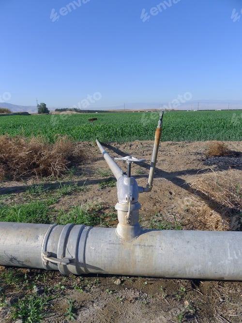 Preview: Portable Irrigation Piping Installed In A California Farm Field