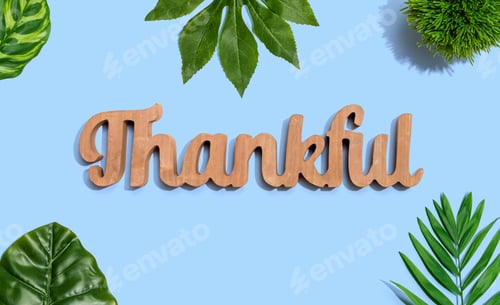 Preview: Thankful Wooden Text With Green Tropical Leaves
