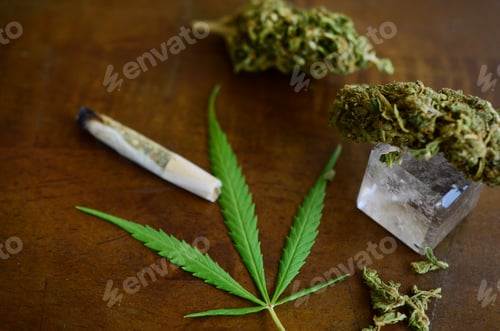 Preview: Bright, Alternative Medical Marijuana. Cbd Healing, Pro Legalization And Pro Marijuana. Macro