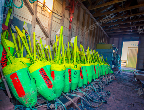 Preview: Colourful Lobster Fishing Buoys