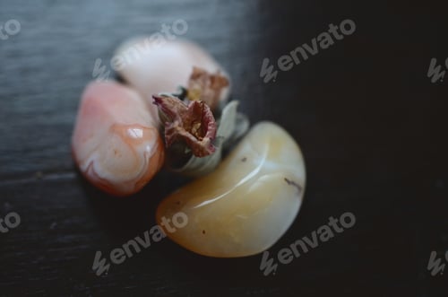 Preview: 3 Pieces Of Tumbled Carnelian. Premium Quality Carnelian Stones. Powerful Healing Crystal Reiki