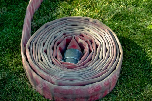 Preview: Single Fire Hose Rolled Up On Grass