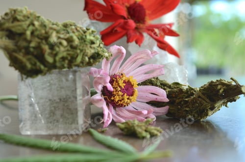 Visualização: Linda estética de flores e cristais de cannabis, fotografia macro de mesa de madeira. Cura médica