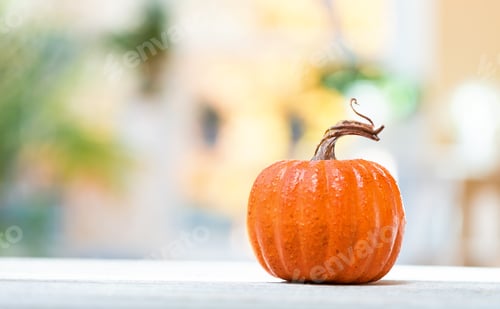 Preview: Little Pumpkin On A Bright Interior Room Background
