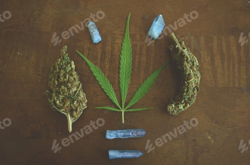 Preview: Bright, Alternative Medical Marijuana. Cbd Healing, Pro Legalization And Pro Marijuana. Macro