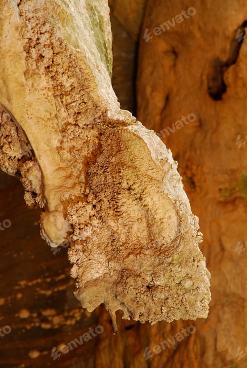 Preview: Cave Region Matozinhos Brazil