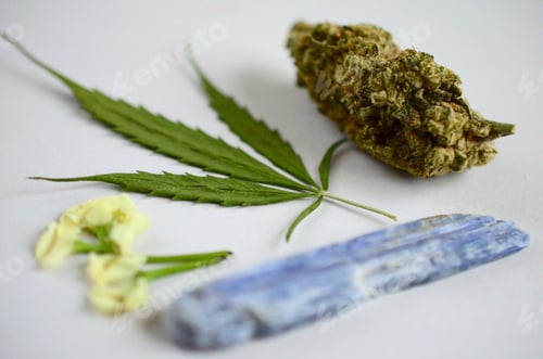 Preview: Beautiful Cannabis Leaf, 420 Lifestyle Photography. Healing Medical Marijuana And Precious