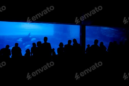 Preview: A Crowd Of People Looking At An Aquarium Exhibit.
