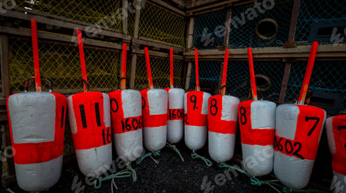 Preview: Lobster Fishing Buoys