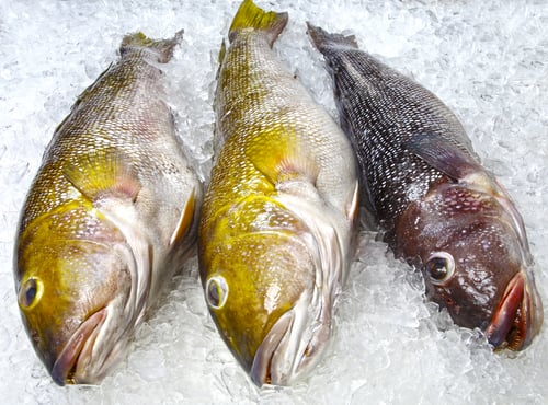 Preview: Fishmonger