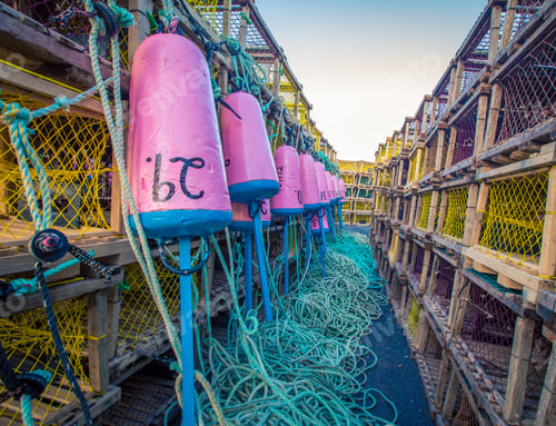 Preview: Colourful Lobster Fishing Buoys
