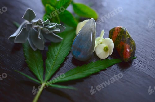 Preview: Adorable Miniature Herb Bundles With A Variety Of Colorful Crystals. Macro Photography Of An