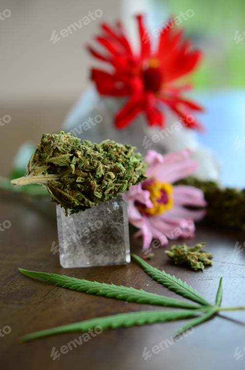Preview: Lovely Cannabis Crystals And Flowers Aesthetic, Wood Tabletop Macro Photography. Healing Medical