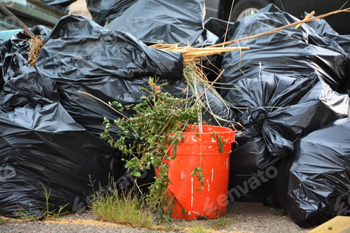 Preview: Bags Of Trash