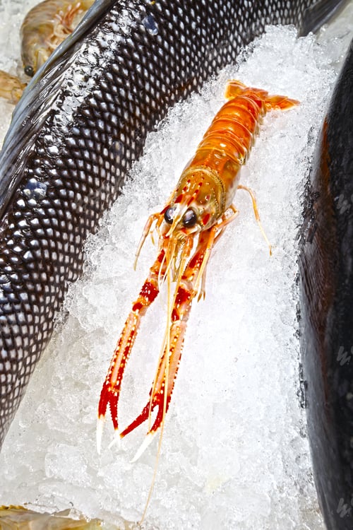 Preview: Seafood