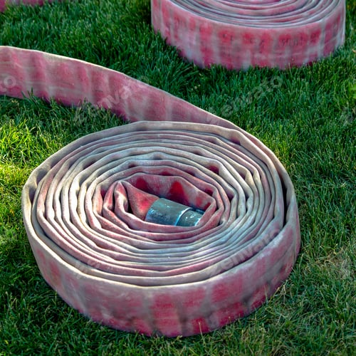 Preview: Pair Of Coiled Firehose On Sunlit Grassy Ground