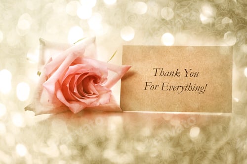 Preview: Thank You For Everything Message With Vintage Rose
