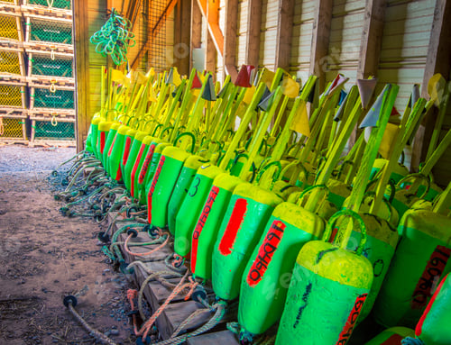 Preview: Colourful Lobster Fishing Buoys