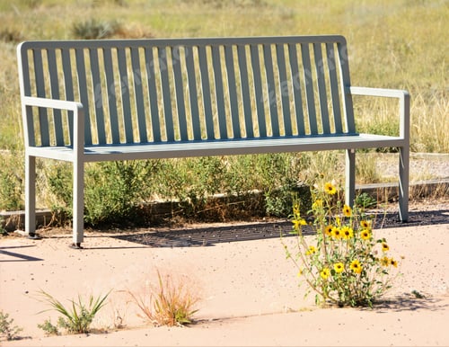 Preview: Park Benches Outside